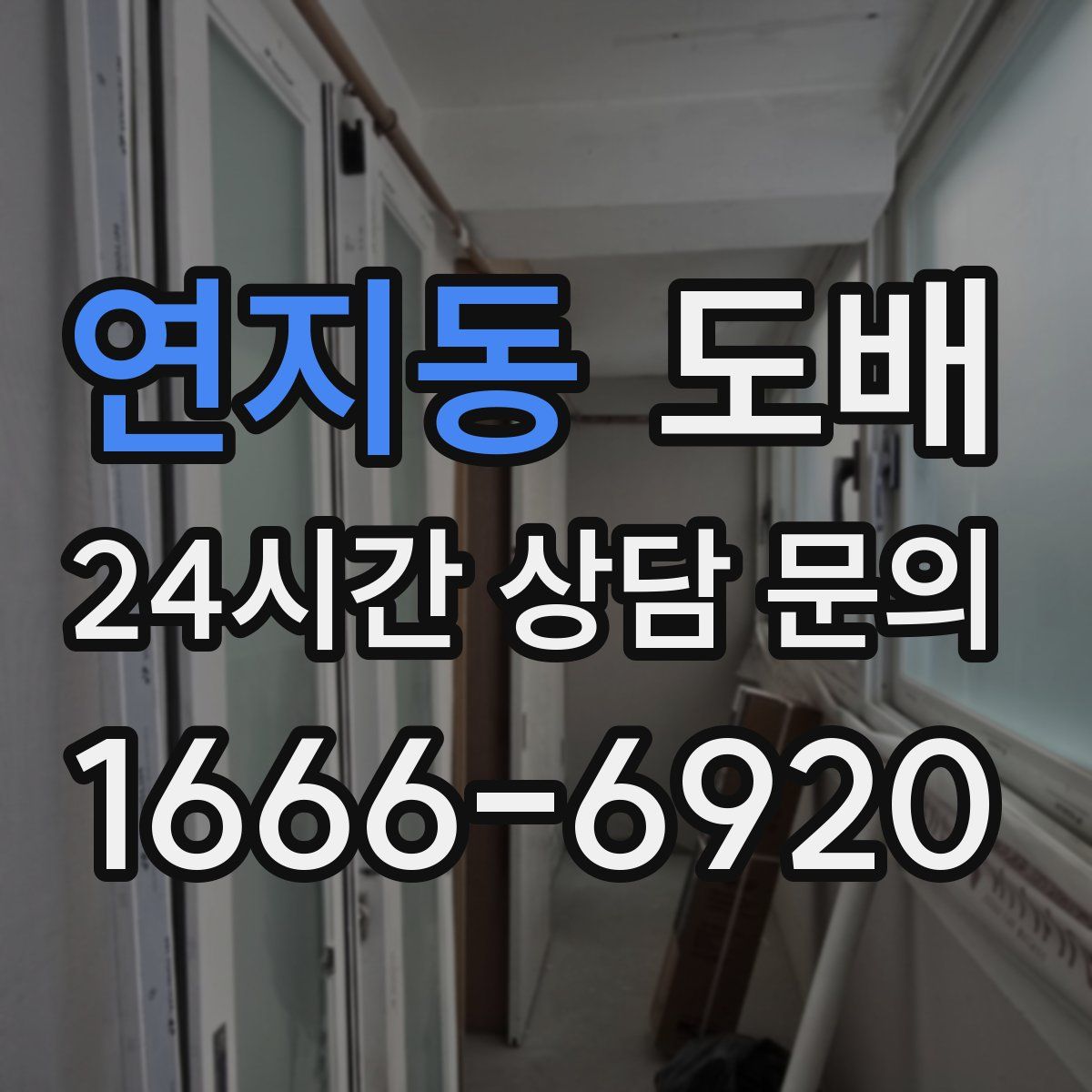 연지동 도배
