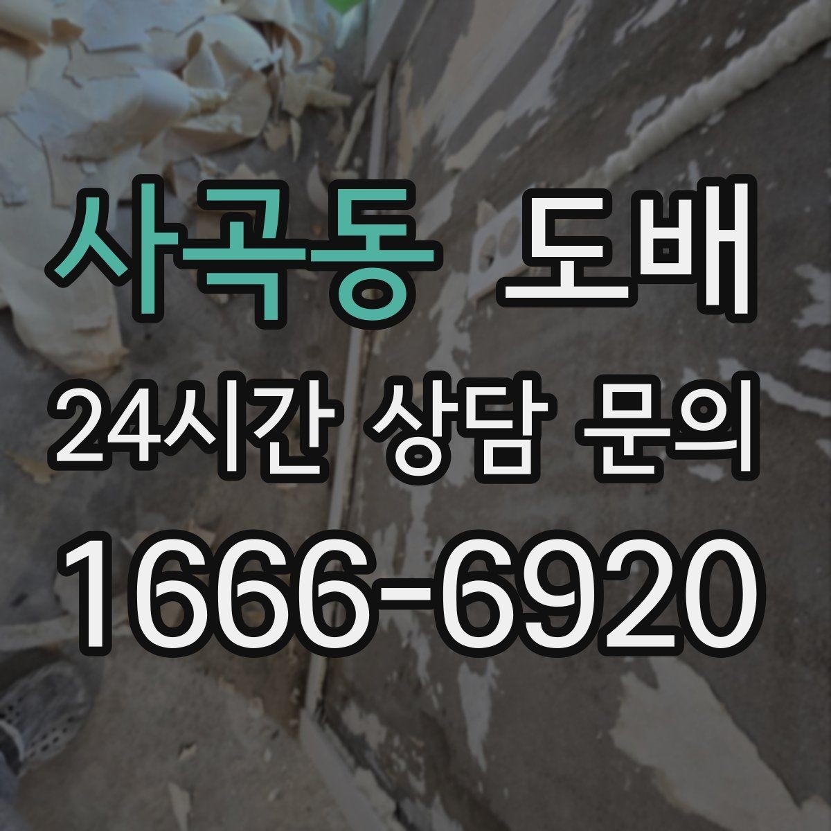 사곡동 도배 업체 후기 볼 때 놓치기 쉬운 부분