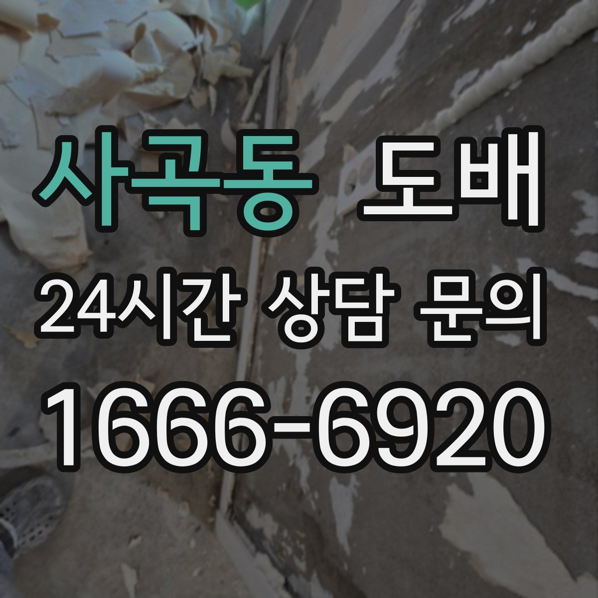 사곡동 도배