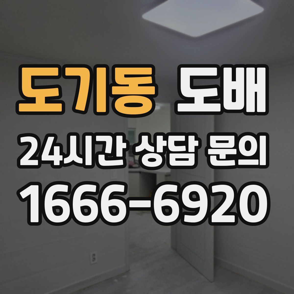 도기동 도배