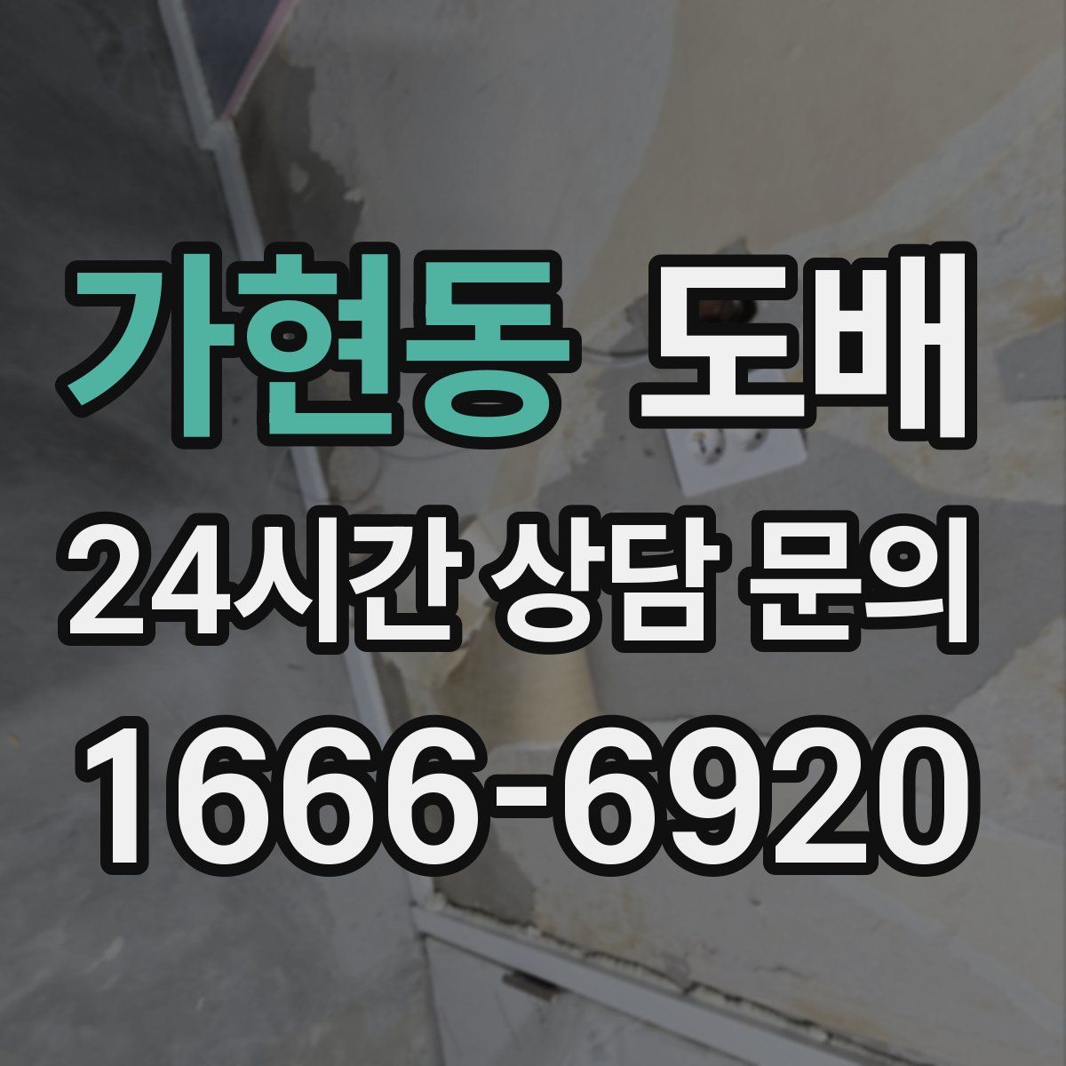 가현동 도배