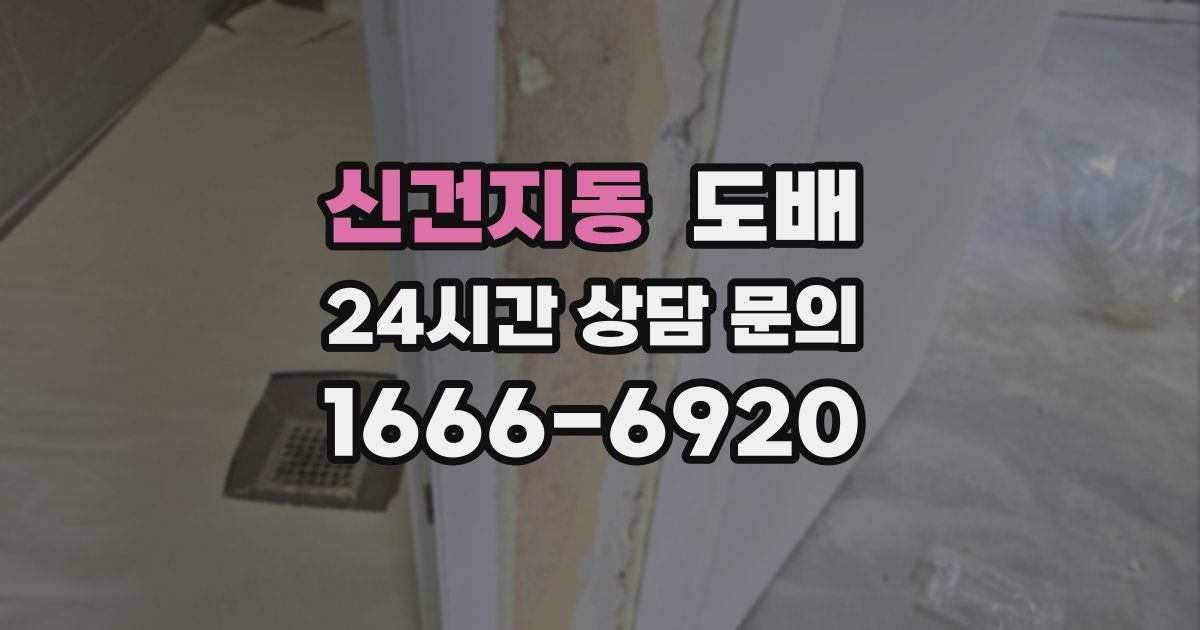 신건지동 도배
