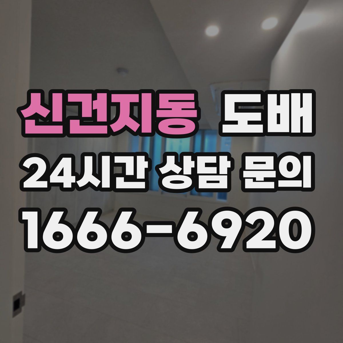 신건지동 도배