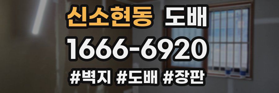신소현동 도배