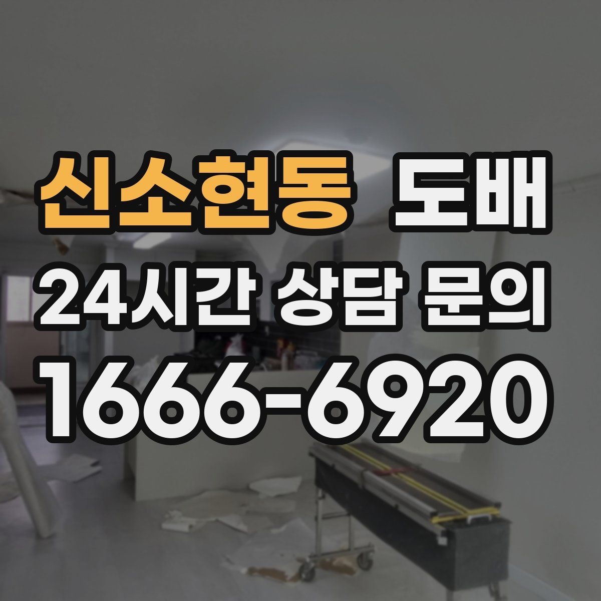 신소현동 도배