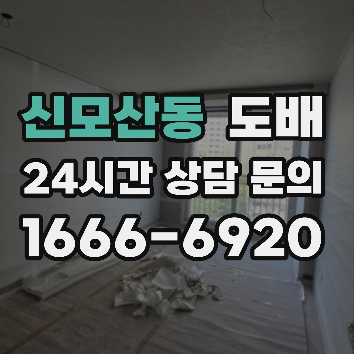 신모산동 도배
