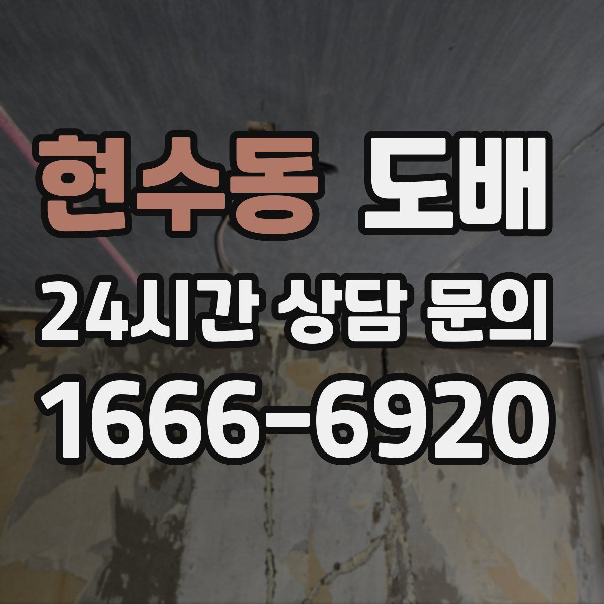 현수동 도배