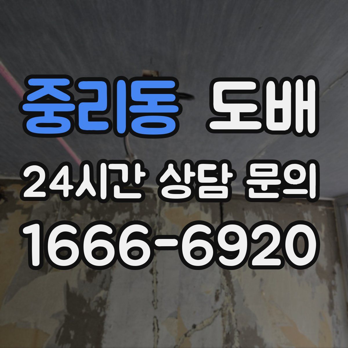 중리동 도배