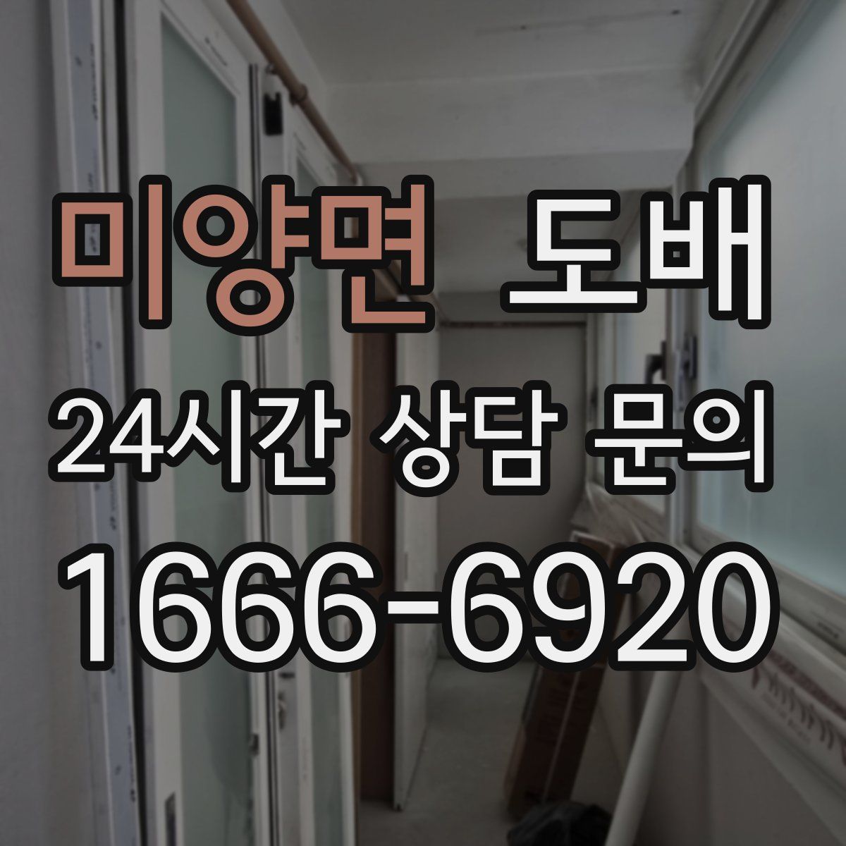 미양면 도배