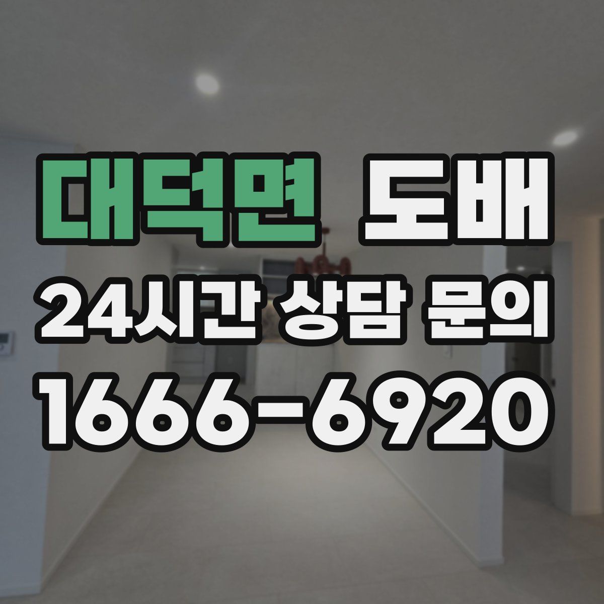 대덕면 도배
