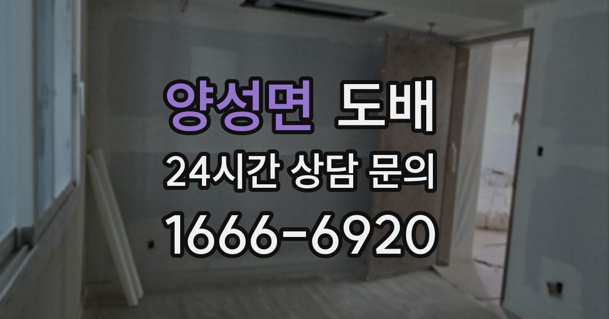 양성면 도배