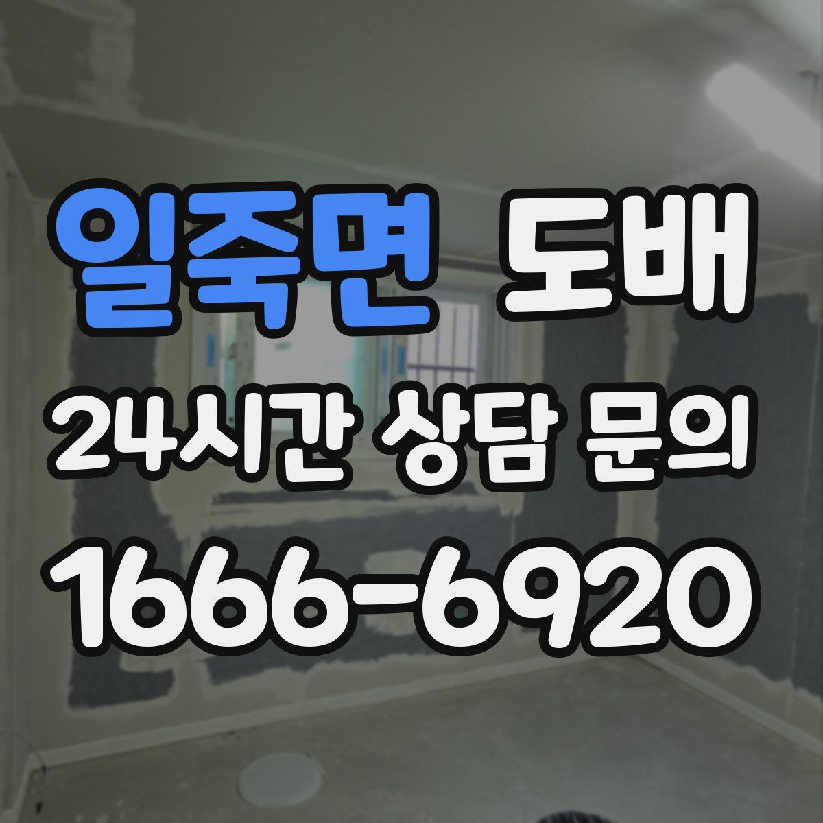 일죽면 도배