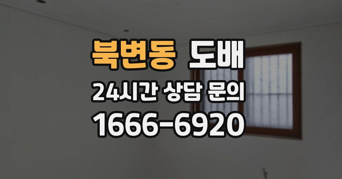 북변동 도배