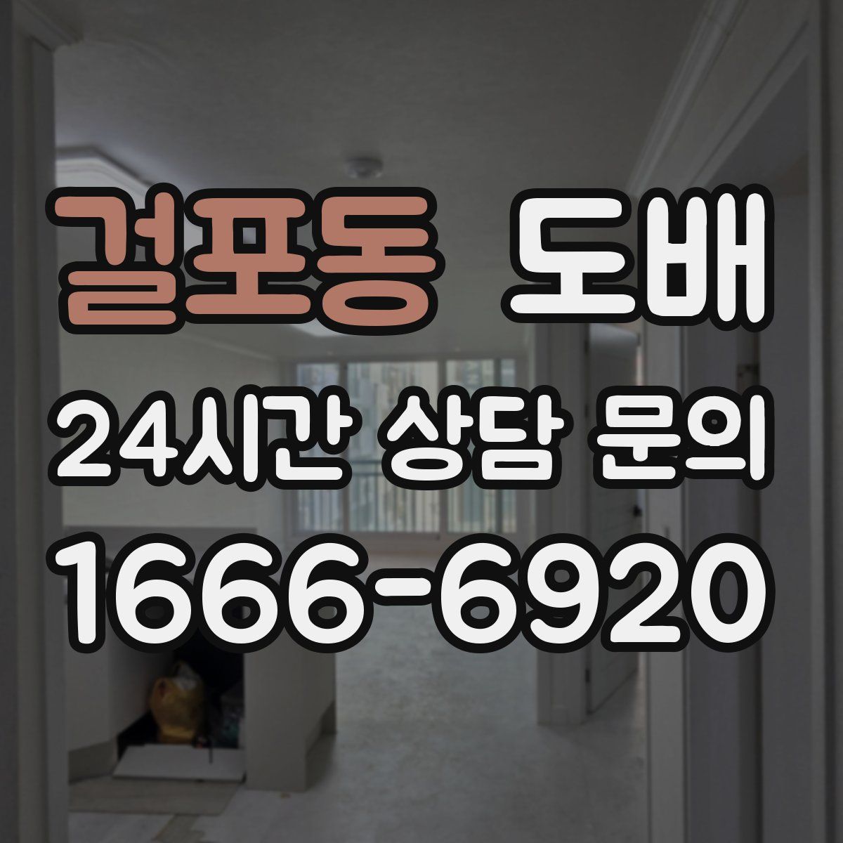 걸포동 도배