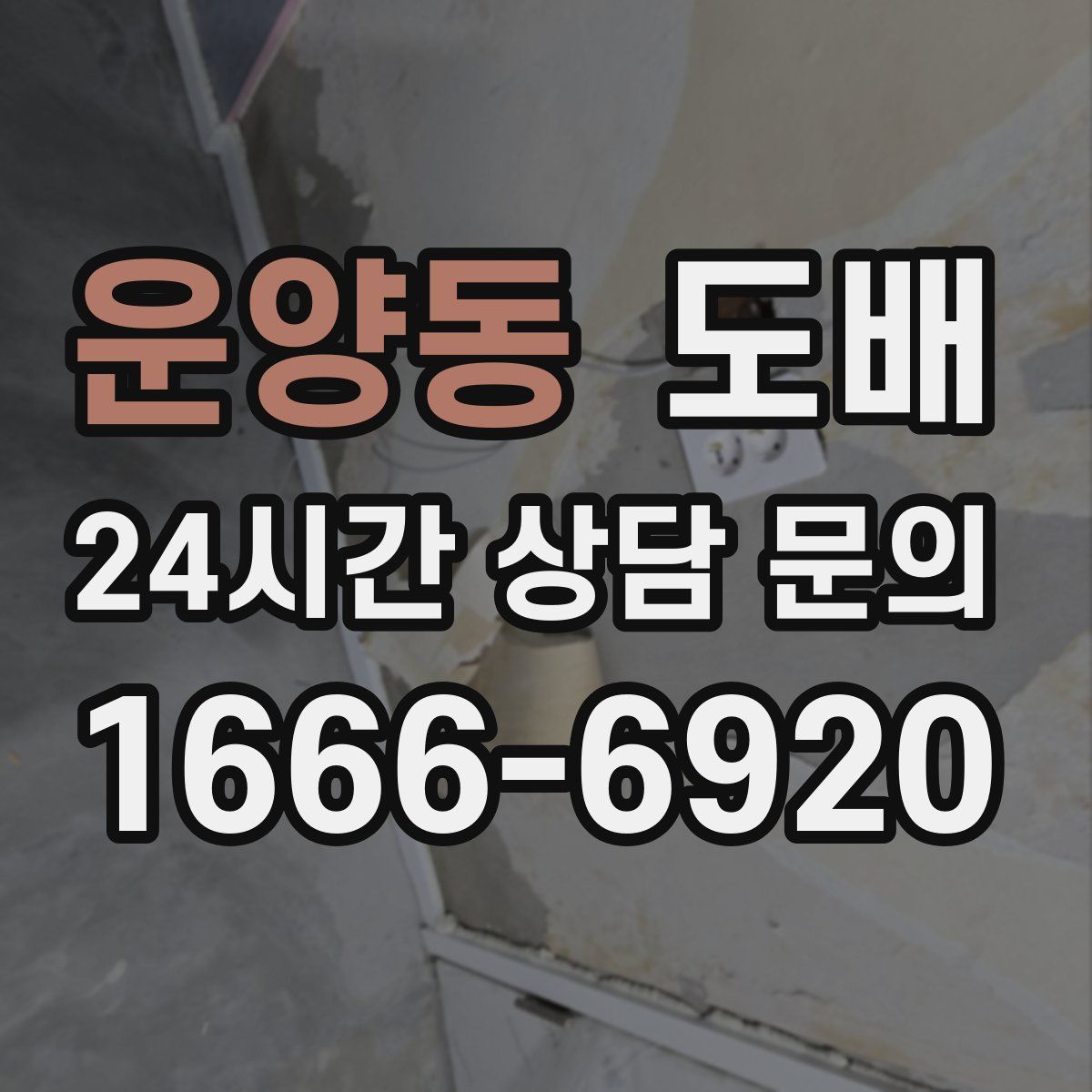 운양동 도배