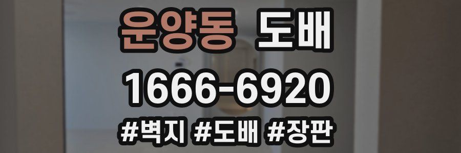 운양동 도배