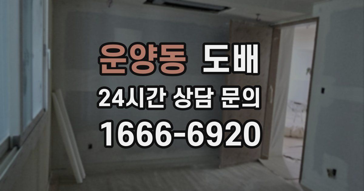 운양동 도배