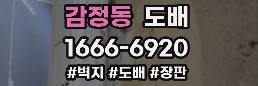 감정동 도배