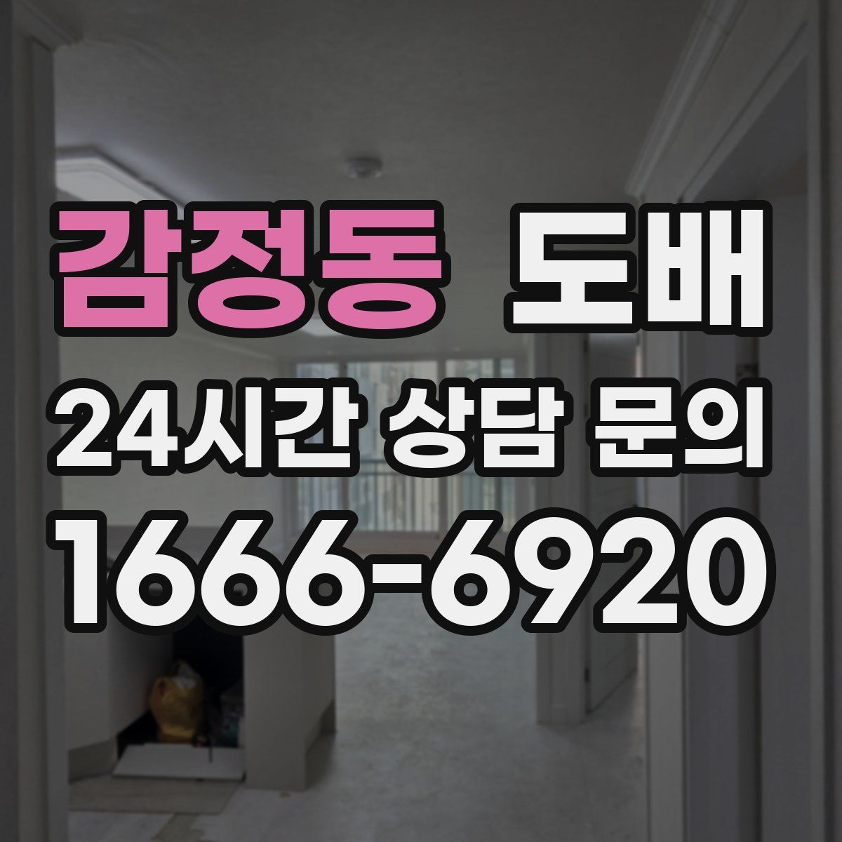 감정동 도배