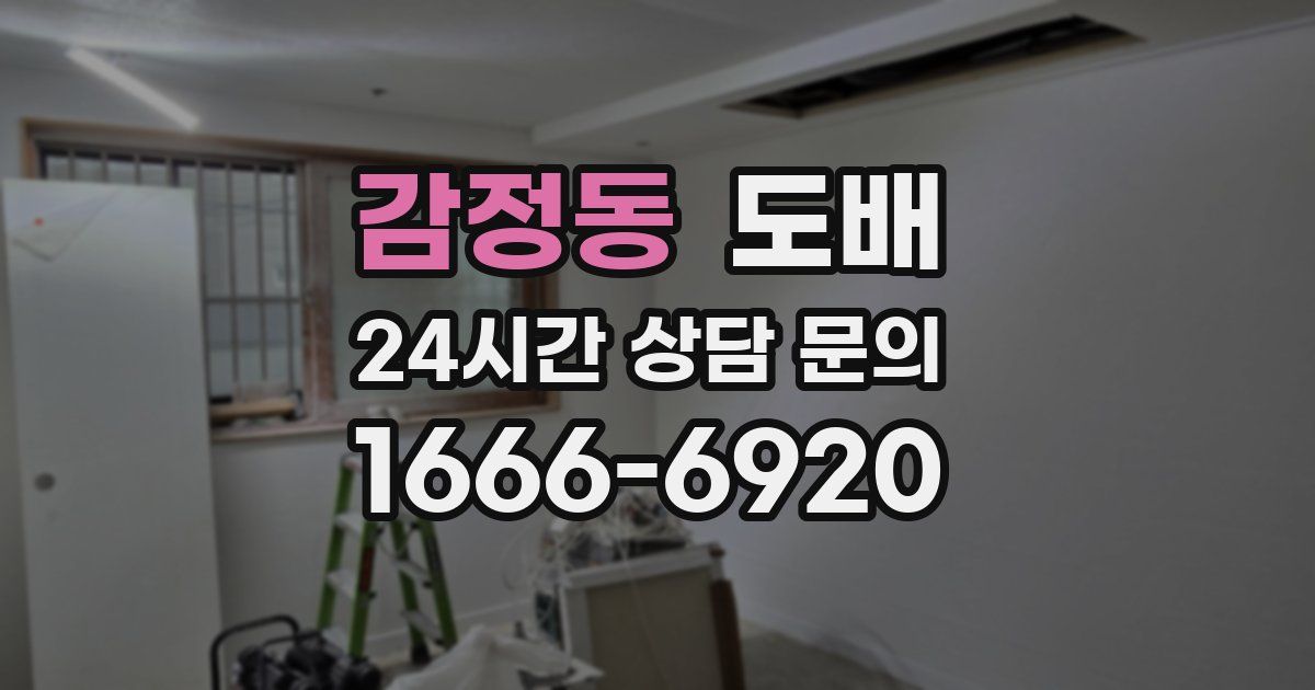 감정동 도배