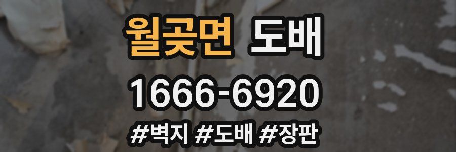 월곶면 도배