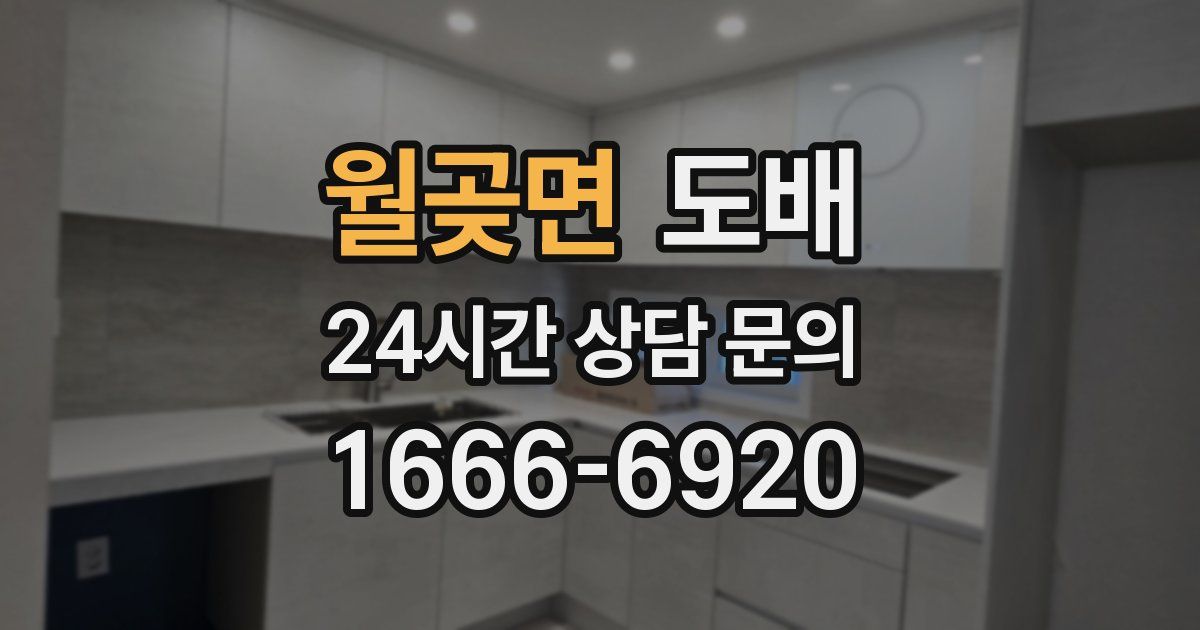 월곶면 도배