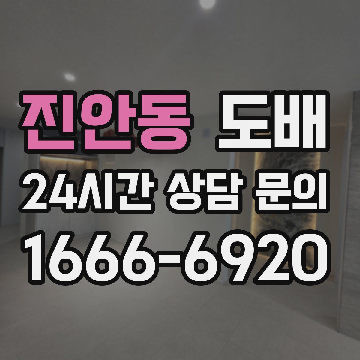 진안동 도배