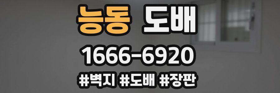 능동 도배