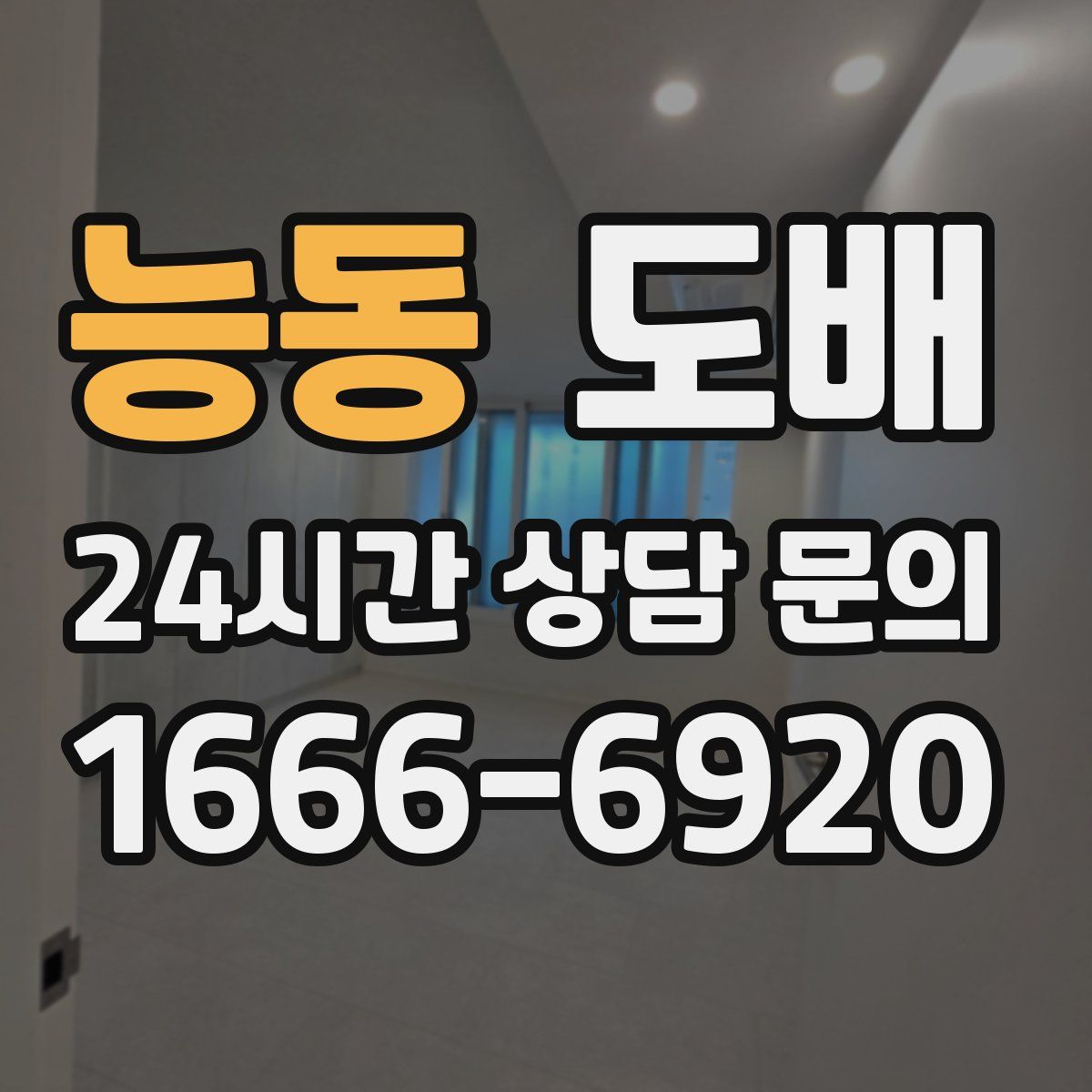 능동 도배