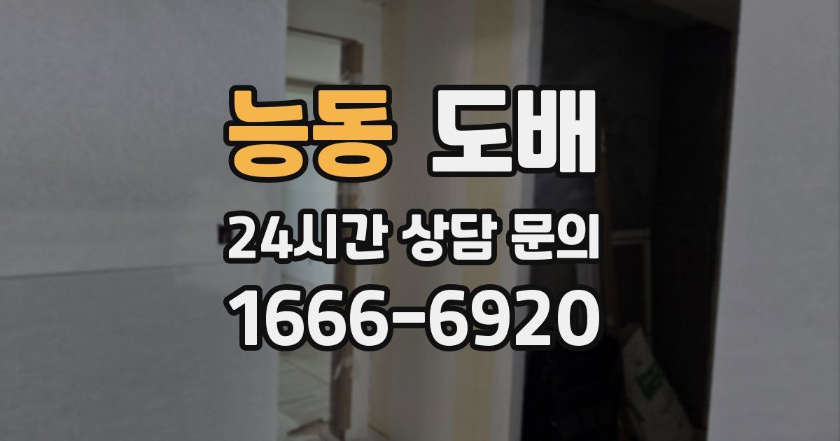 능동 도배