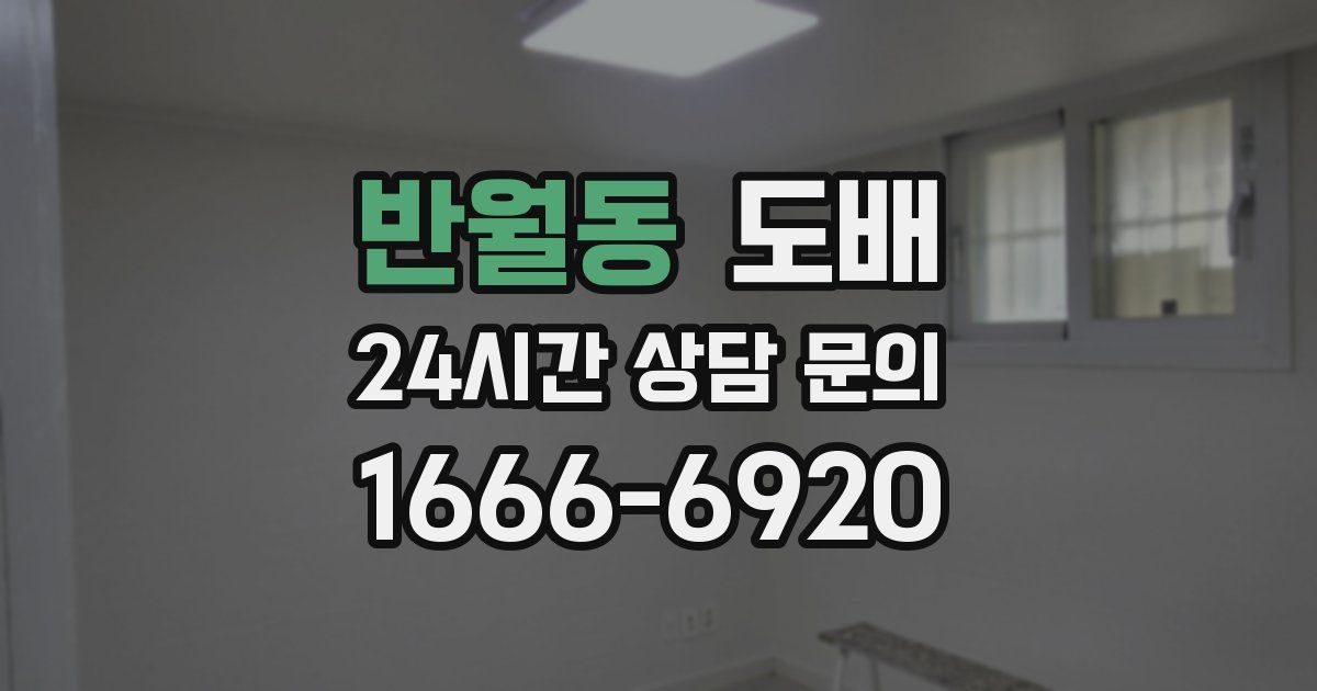 반월동 도배