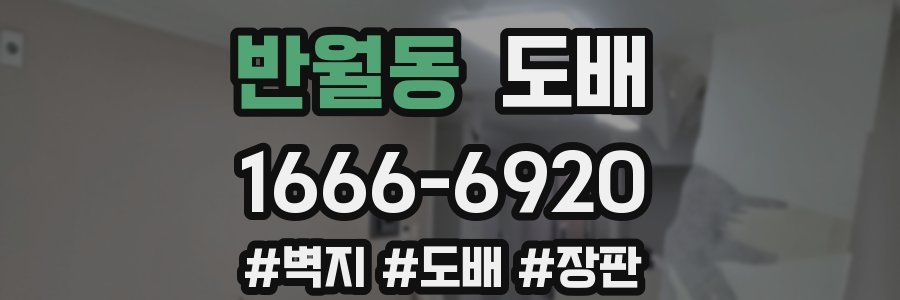 반월동 도배