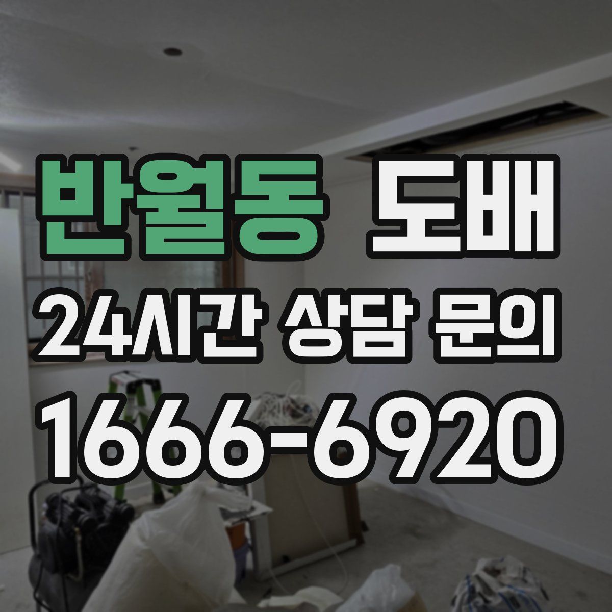 반월동 도배