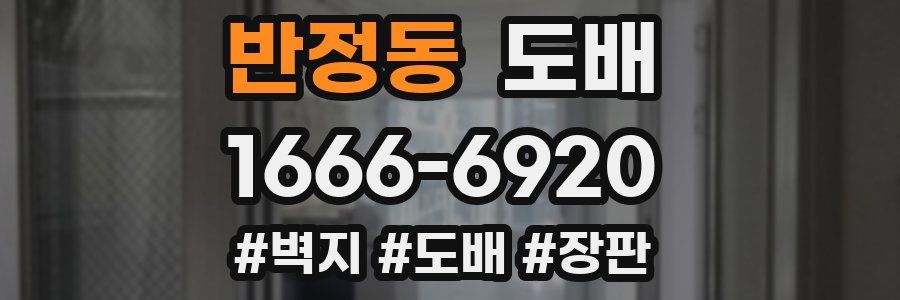 반정동 도배