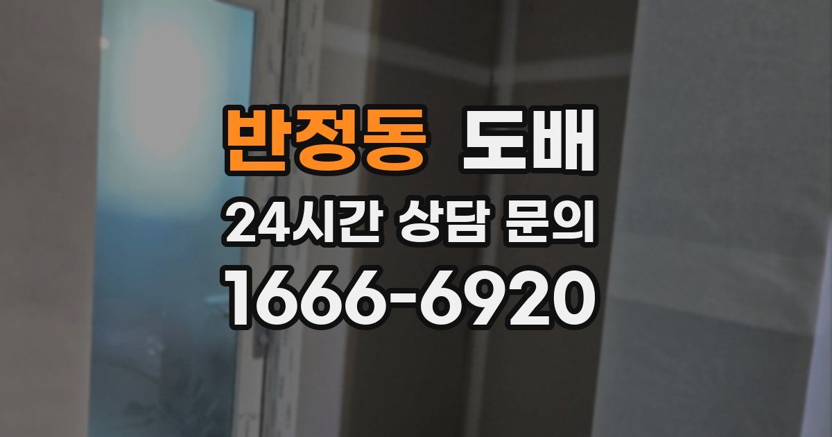 반정동 도배