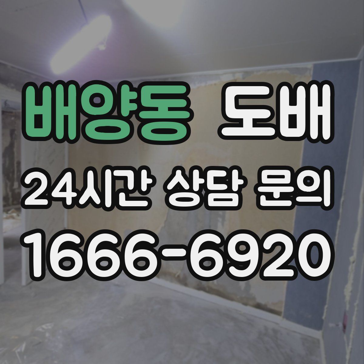 배양동 도배