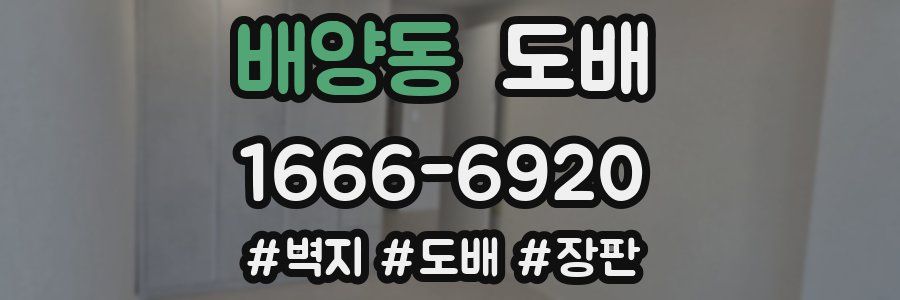 배양동 도배