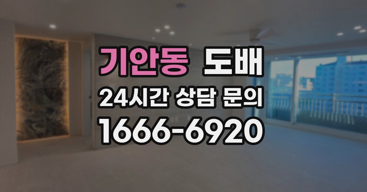 기안동 도배