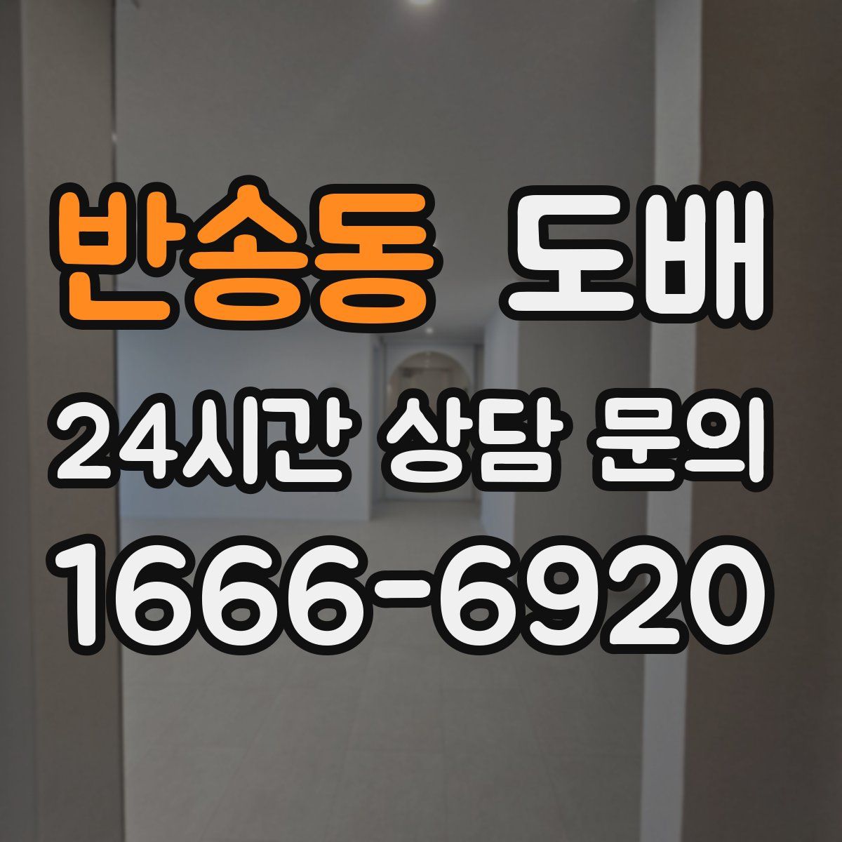 반송동 도배