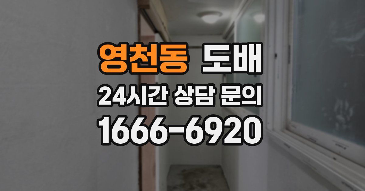 영천동 도배