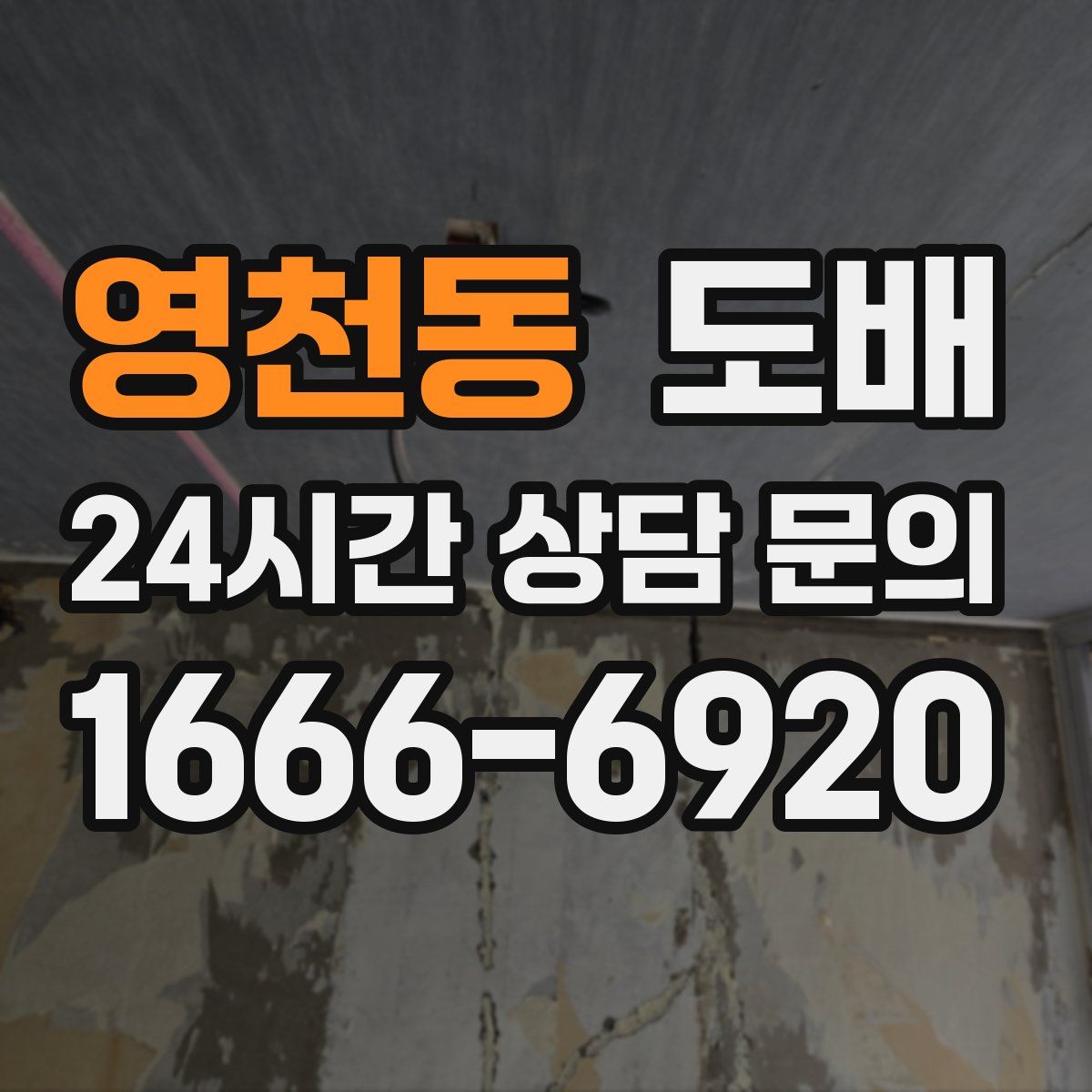 영천동 도배