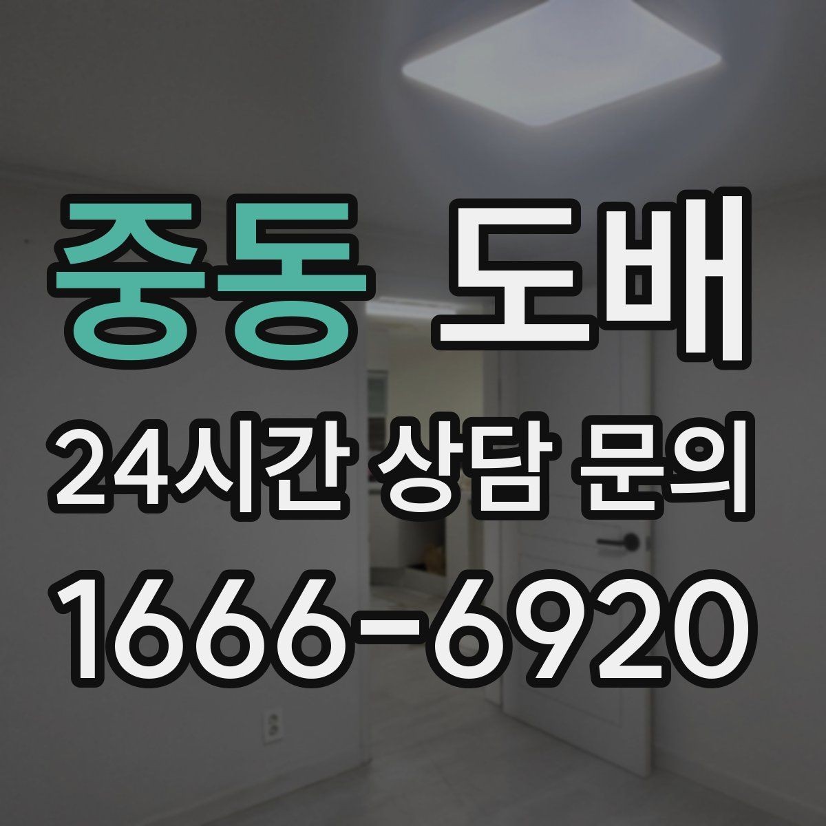 중동 도배 업체 선택 전 비교해야 할 기준