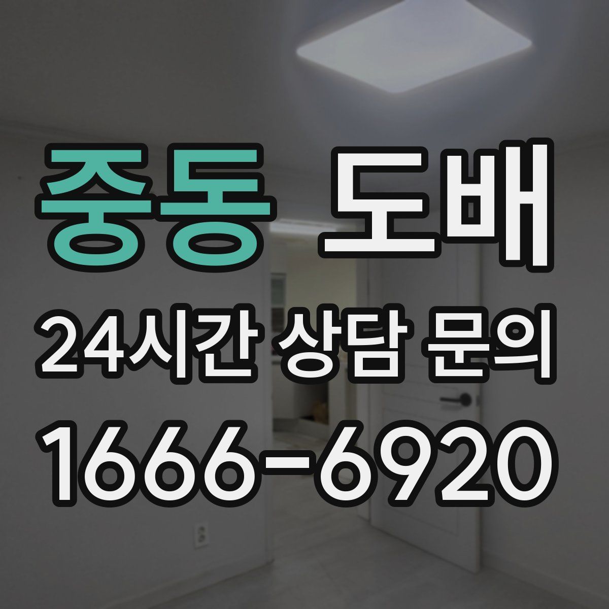 중동 도배