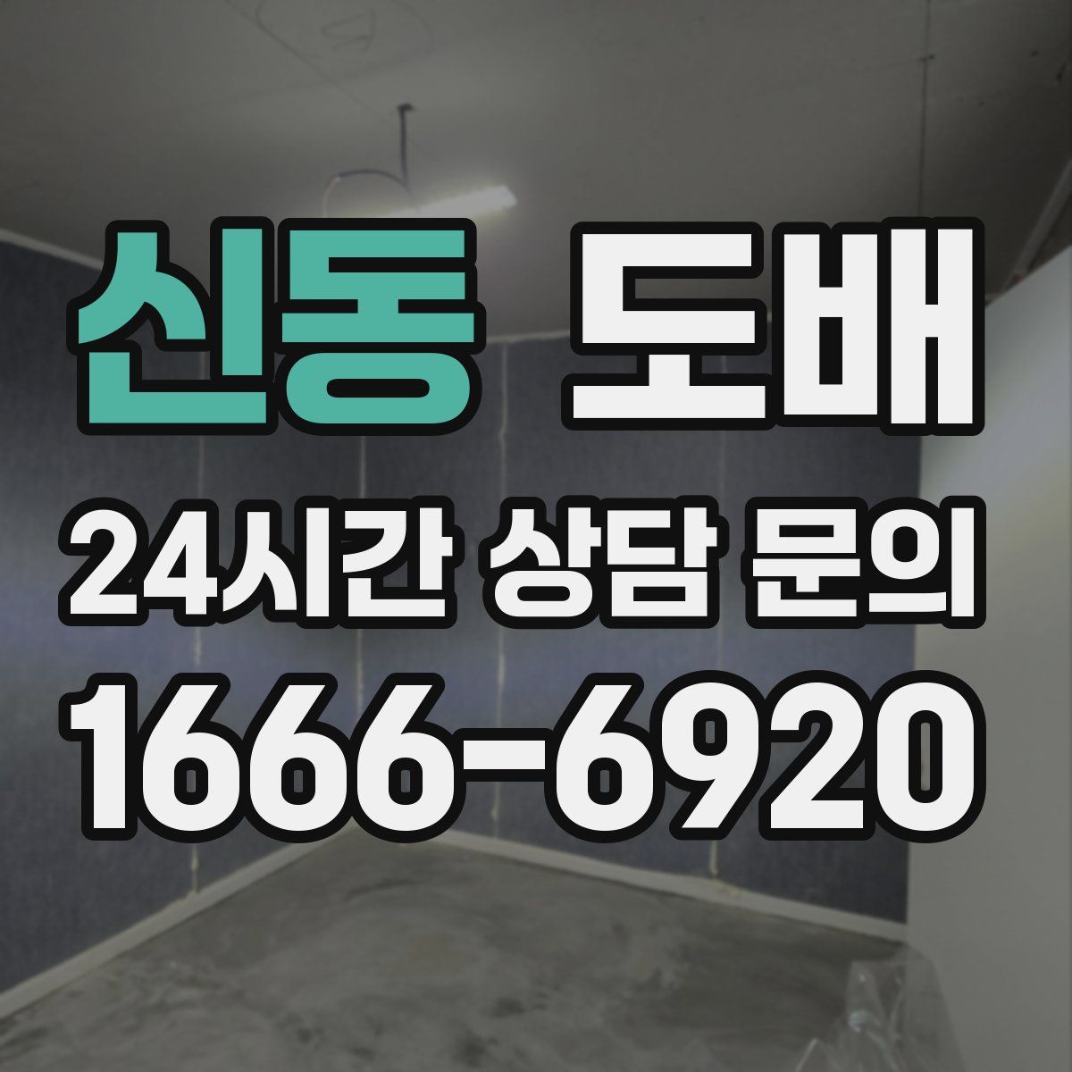 신동 도배