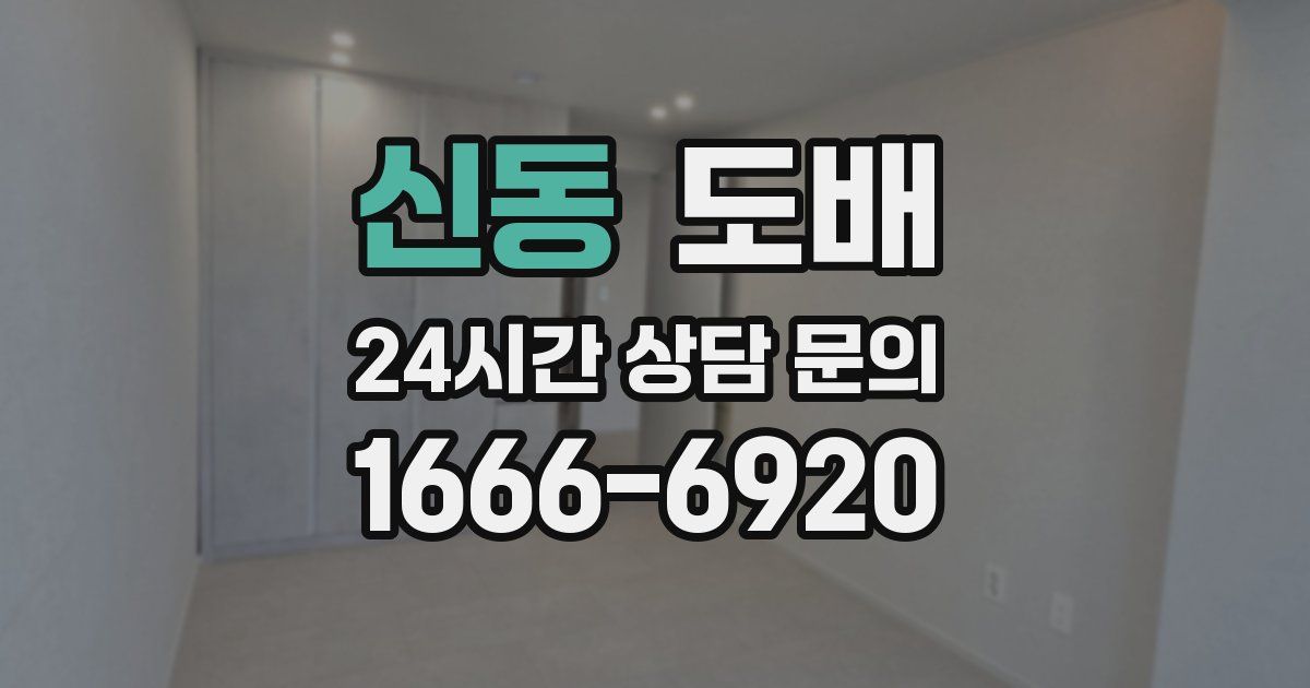 신동 도배