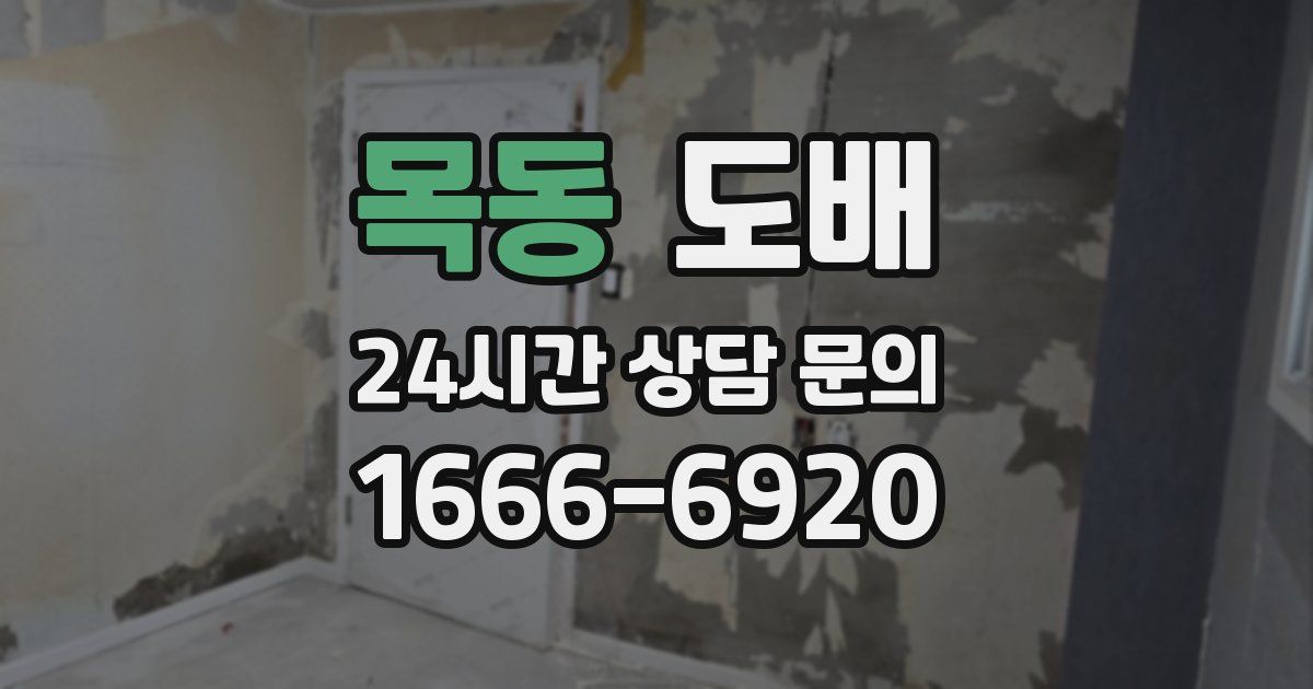 목동 도배