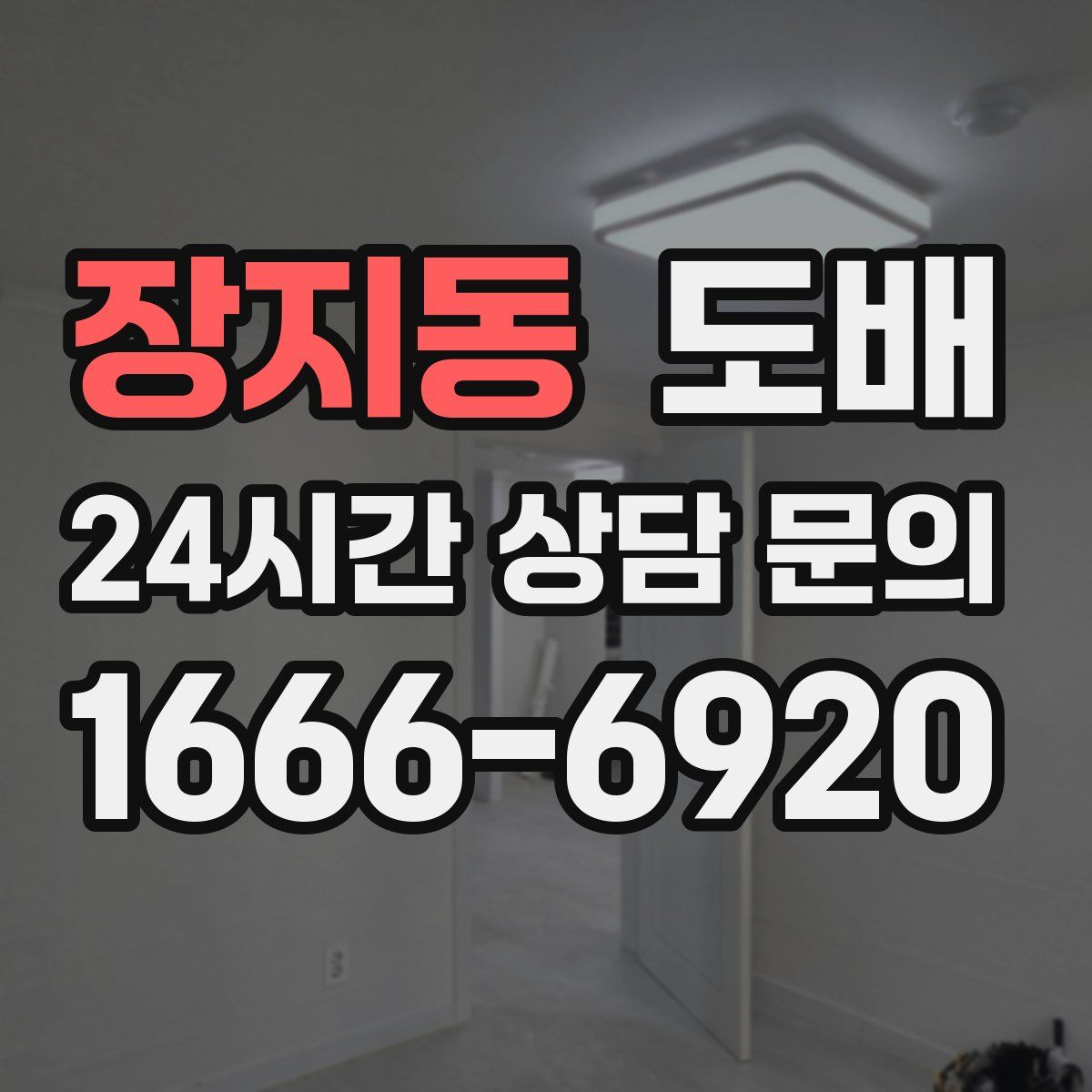 장지동 도배