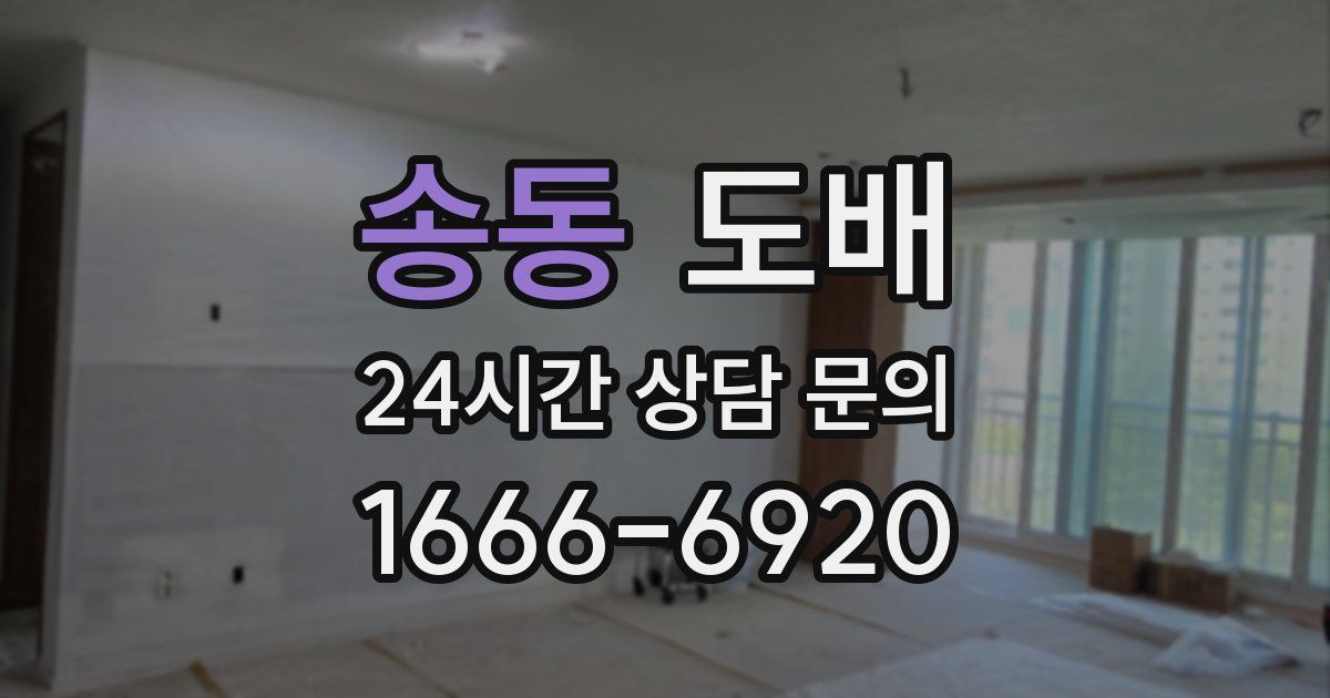 송동 도배