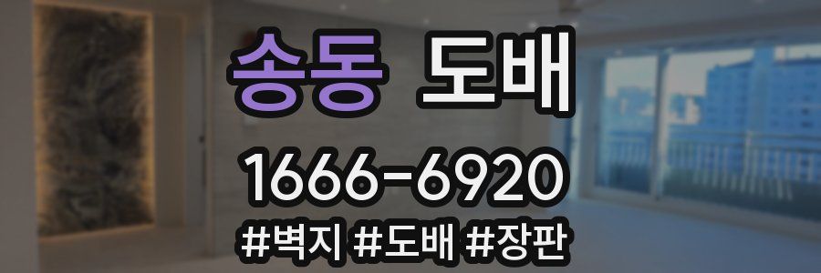 송동 도배