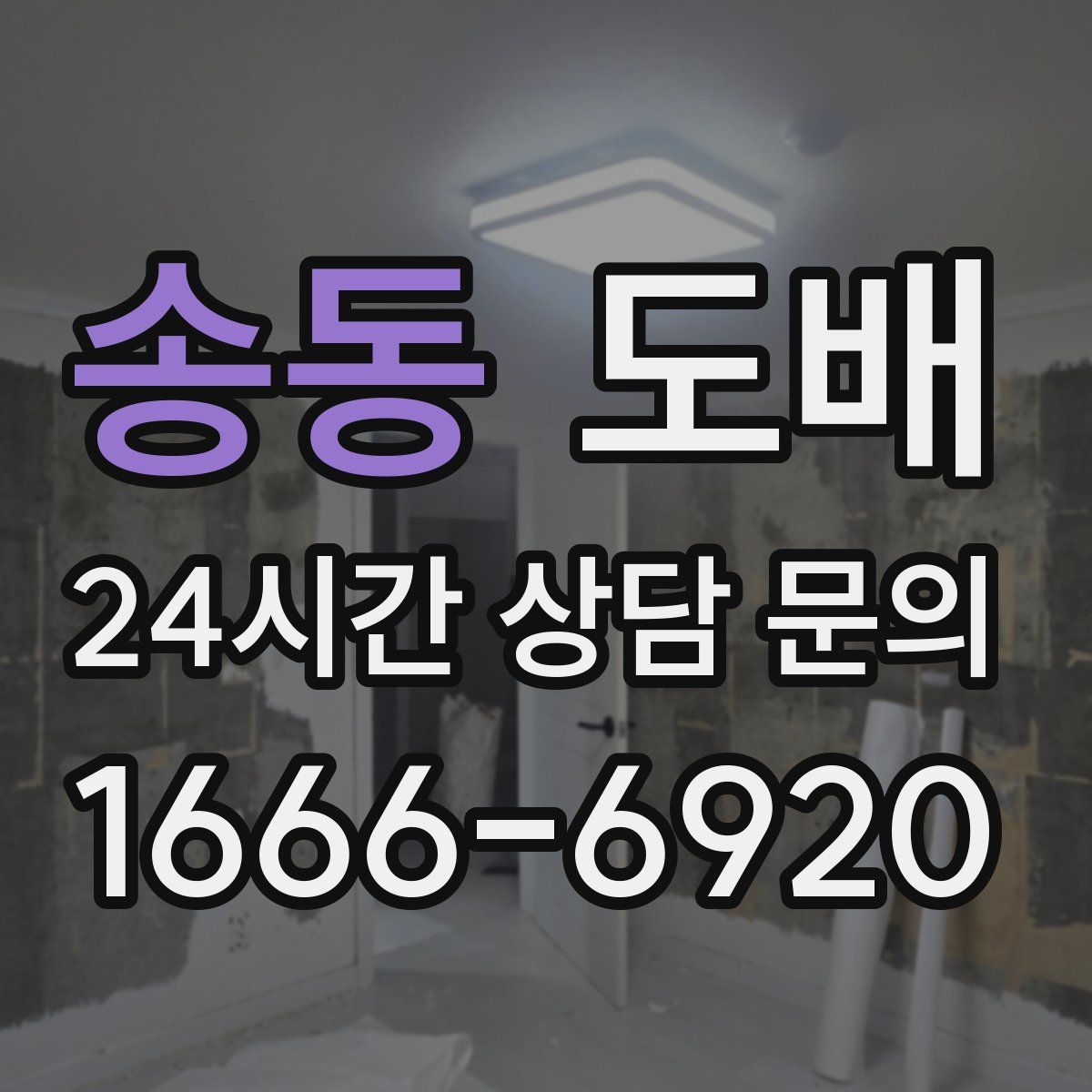송동 도배